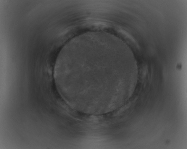 X0000094961013200712131640