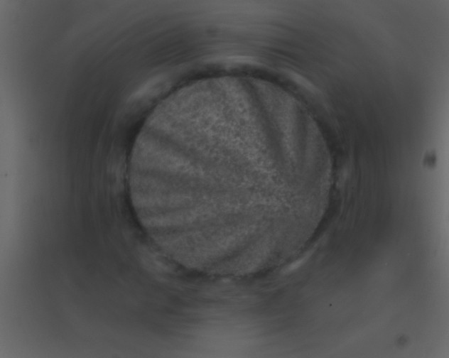 X0000094961014200712131640