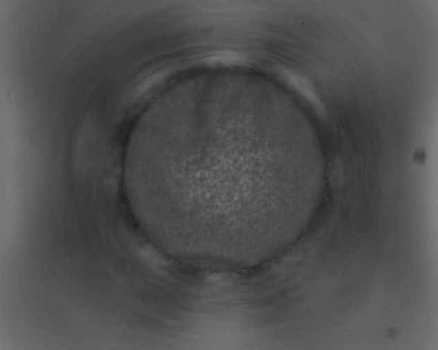 X0000094961015200712131640