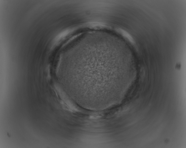 X0000094961016200712131640