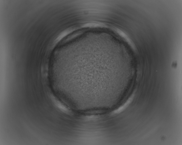 X0000094961017200712131640