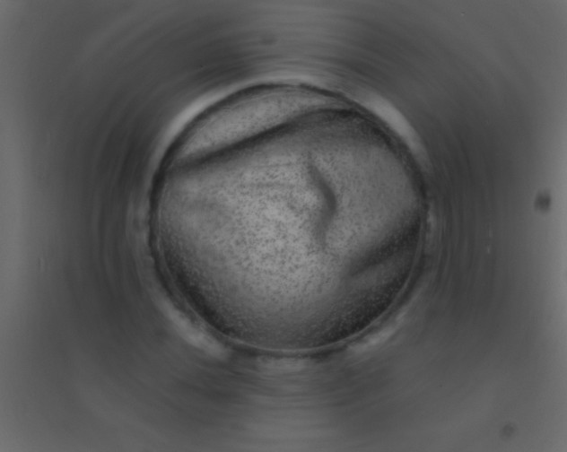 X0000094961020200712131640