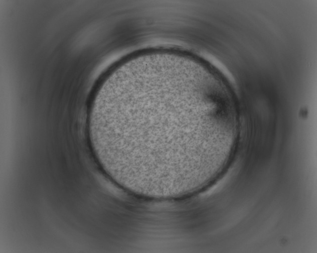 X0000094961021200712131640