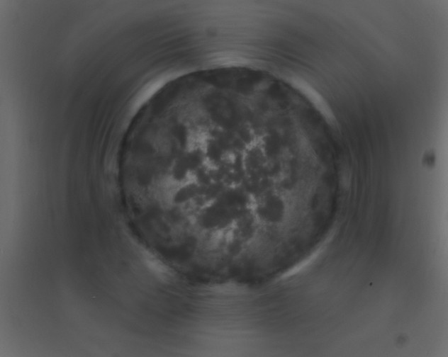 X0000094961023200712131640