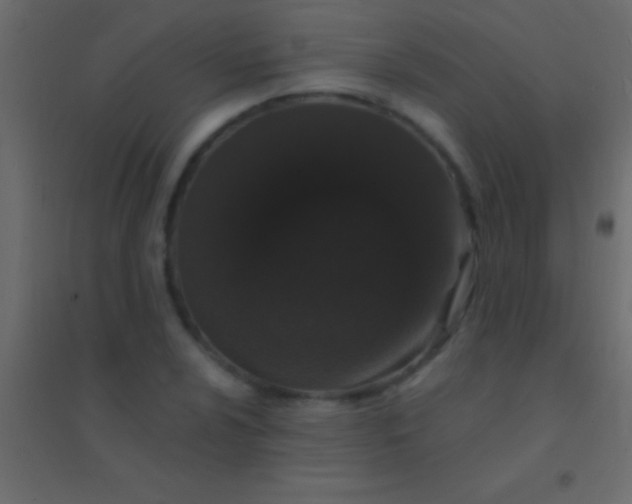 X0000094961024200712131640