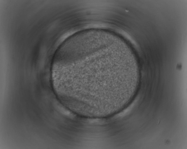 X0000094961025200712131640