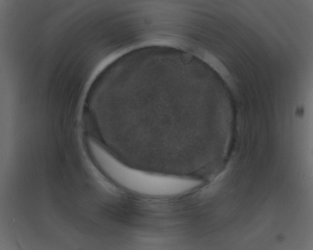 X0000094961028200712131640