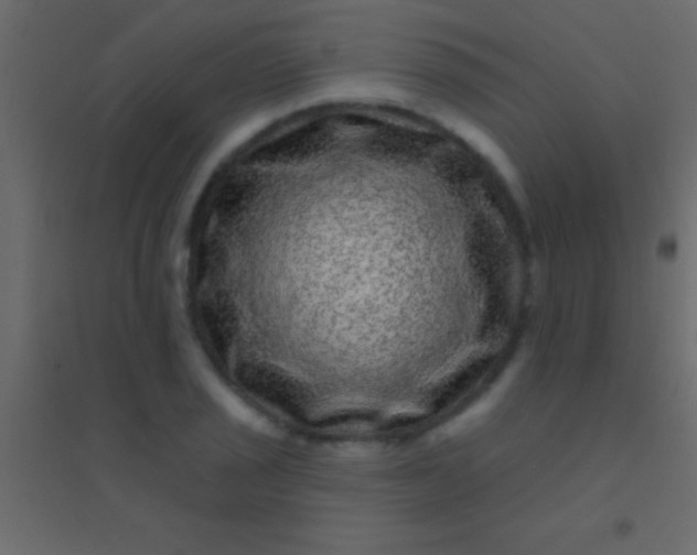 X0000094961029200712131640