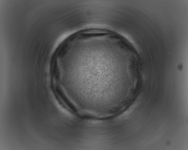 X0000094961030200712131640