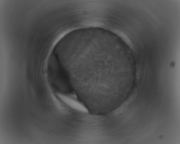 X0000094961031200712131640