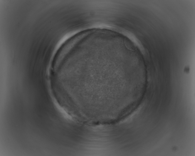 X0000094961032200712131640