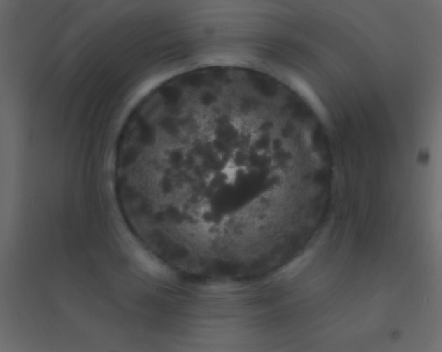 X0000094961035200712131640