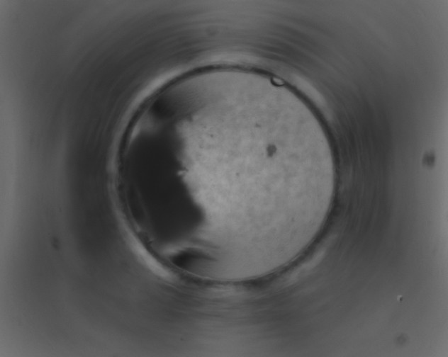 X0000094961037200712131641