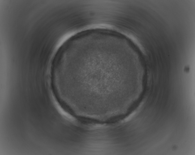 X0000094961038200712131641