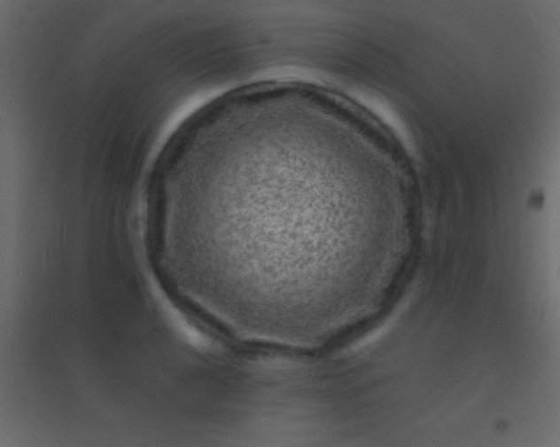 X0000094961040200712131641