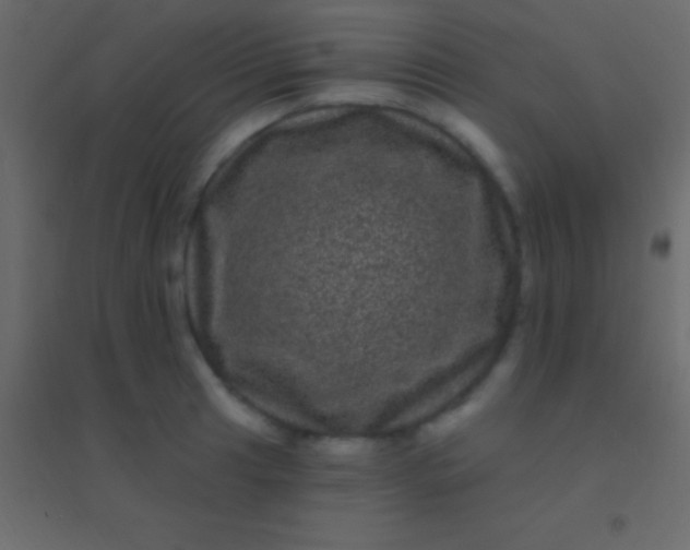 X0000094961041200712131641