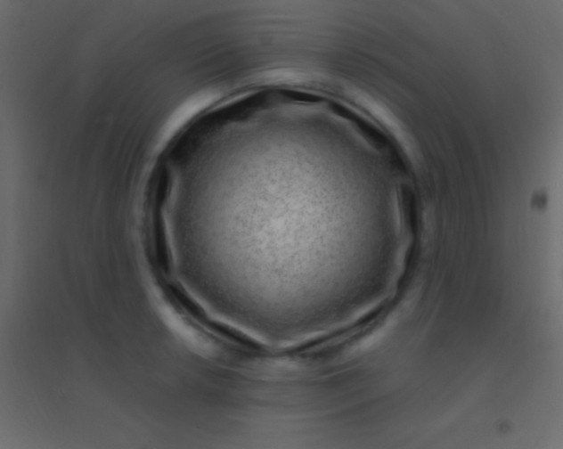 X0000094961042200712131641