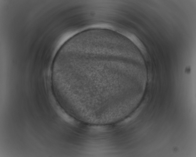 X0000094961044200712131641