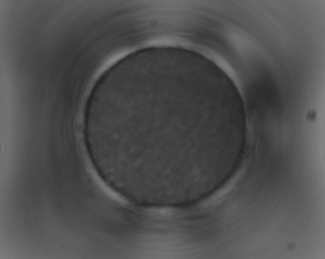 X0000094961045200712131641