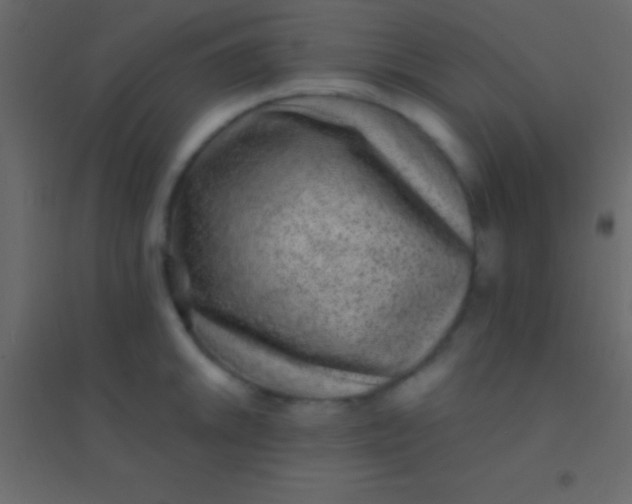 X0000094961046200712131641