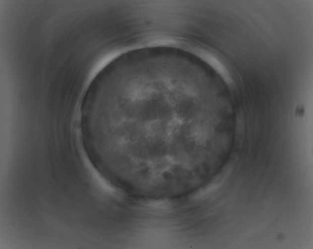 X0000094961047200712131641