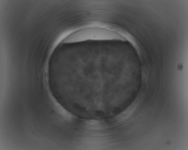 X0000094961048200712131641