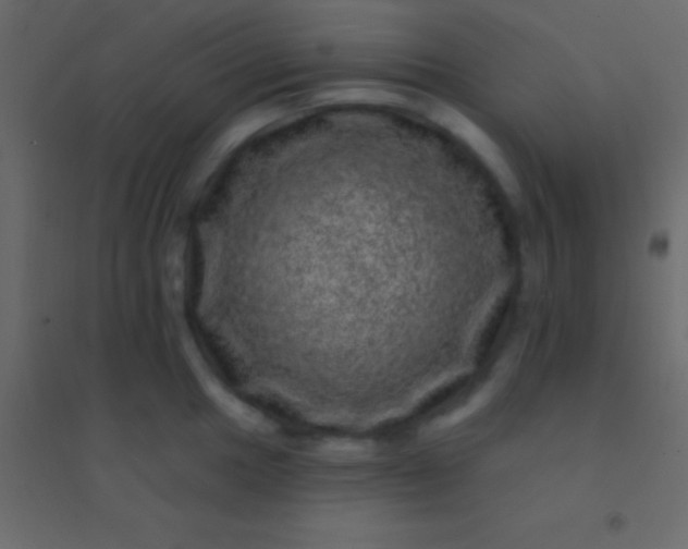 X0000094961049200712131641