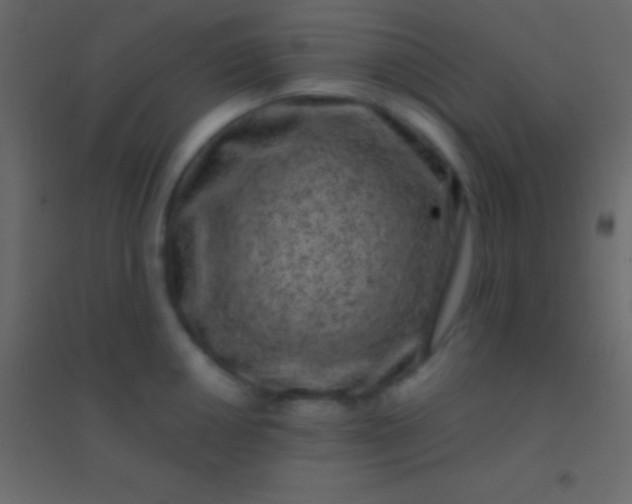 X0000094961050200712131641