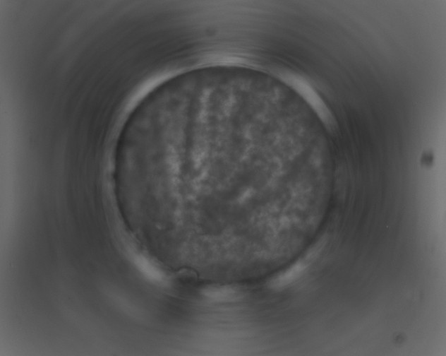 X0000094961051200712131641