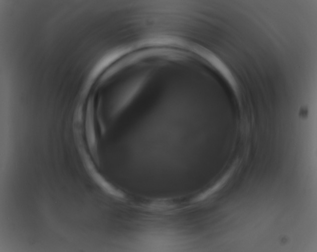 X0000094961053200712131641