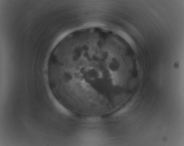 X0000094961055200712131641