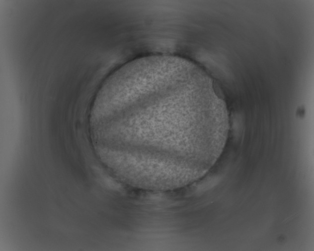 X0000094961057200712131640