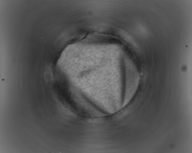 X0000094961058200712131640