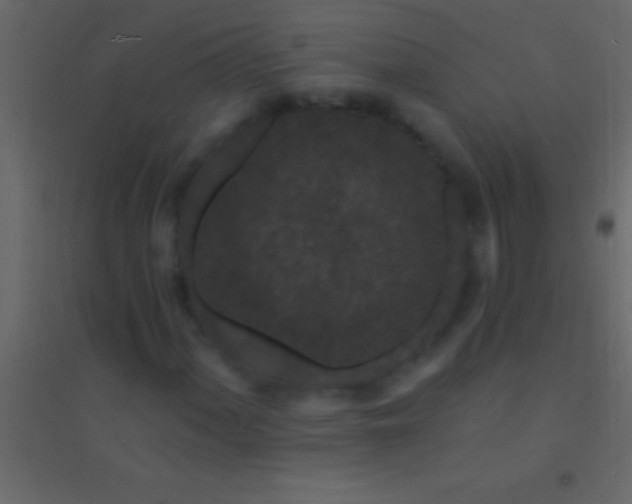 X0000094961060200712131640