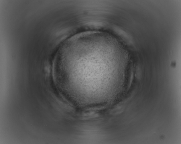 X0000094961061200712131640