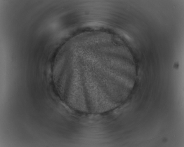 X0000094961062200712131640