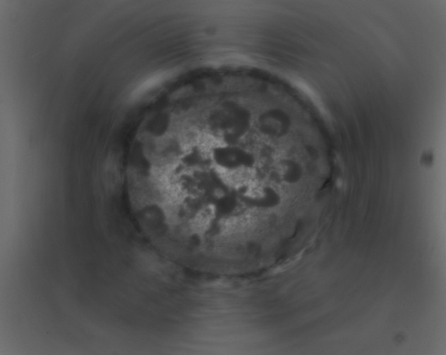 X0000094961063200712131640