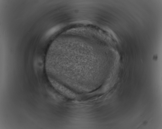 X0000094961064200712131640