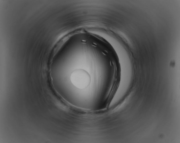 X0000094961065200712131640