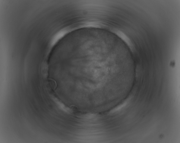 X0000094961067200712131640