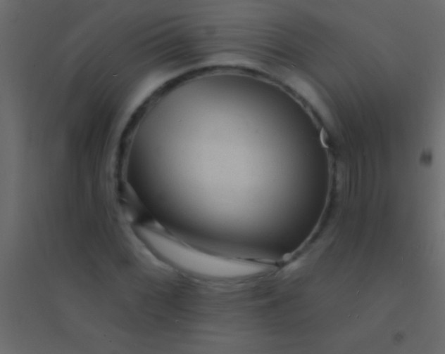 X0000094961068200712131640