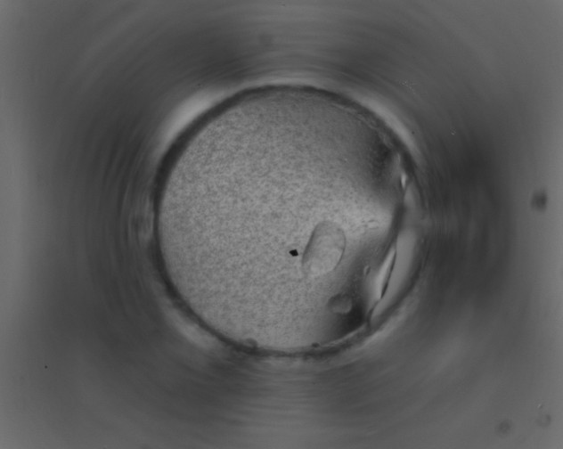 X0000094961069200712131640