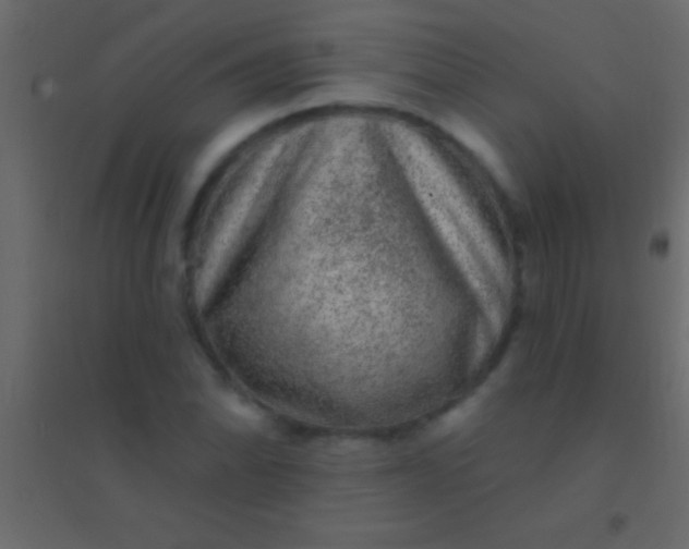 X0000094961070200712131640