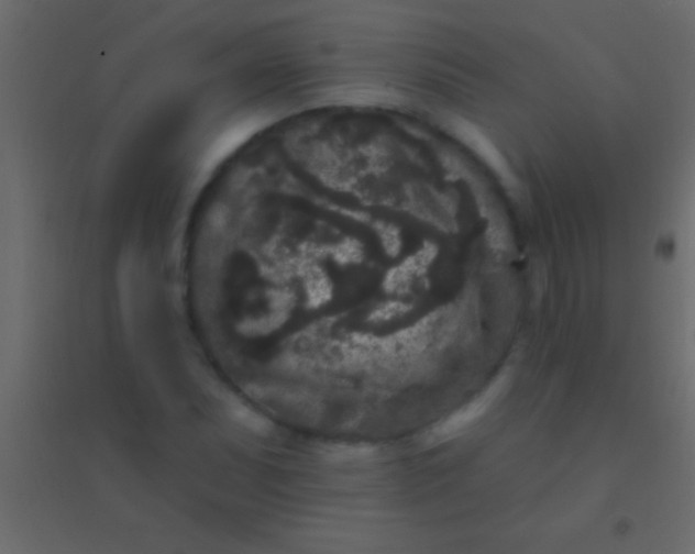 X0000094961071200712131640