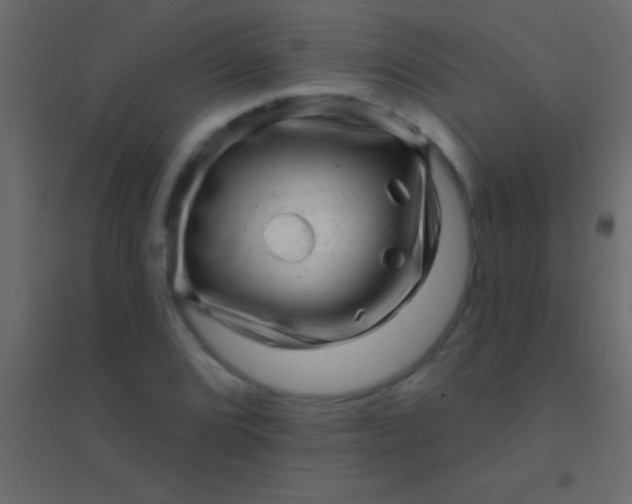 X0000094961072200712131640