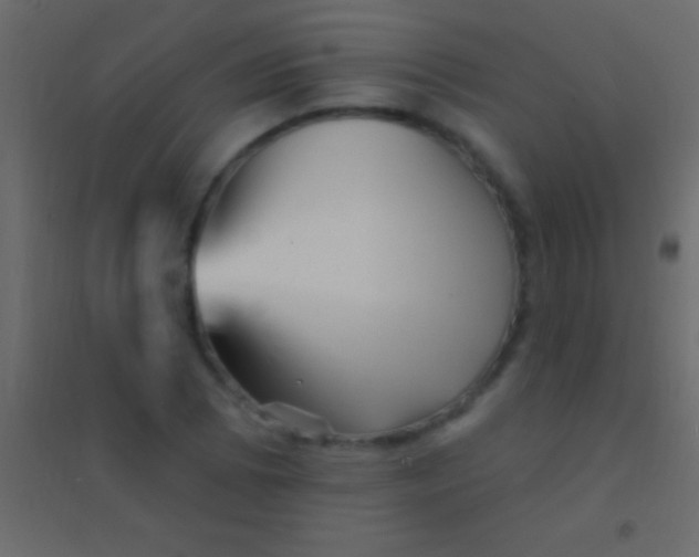 X0000094961073200712131640