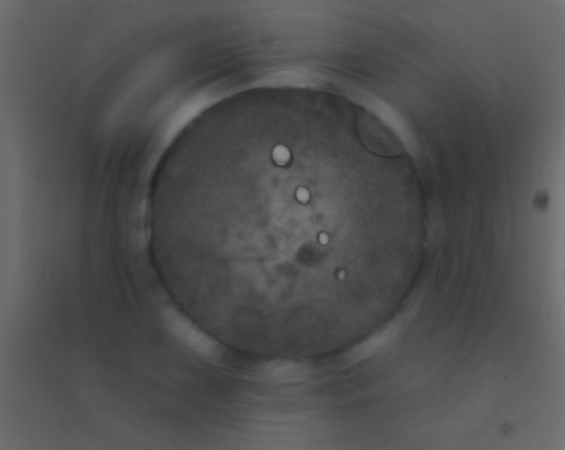 X0000094961075200712131640