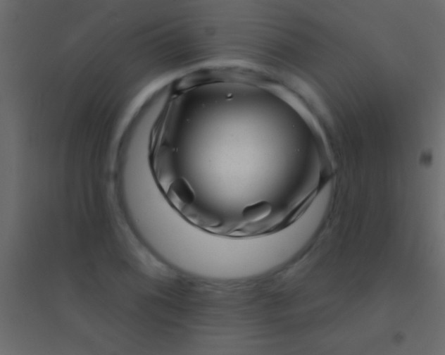 X0000094961076200712131640