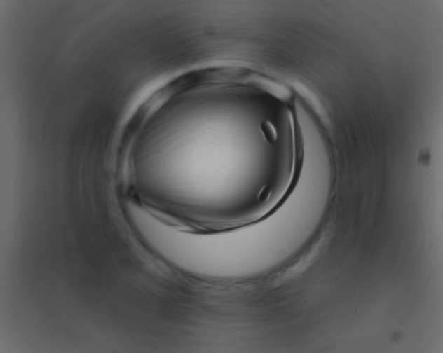 X0000094961077200712131640