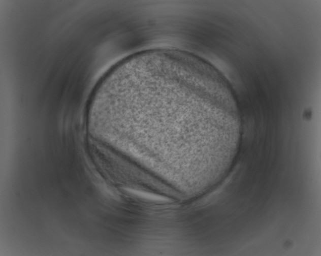 X0000094961078200712131640